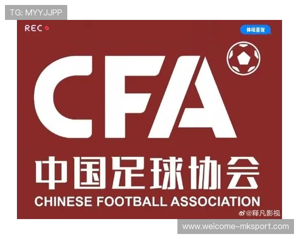 中国足球青少年足球赛事组织管理，中国足协青少年足球